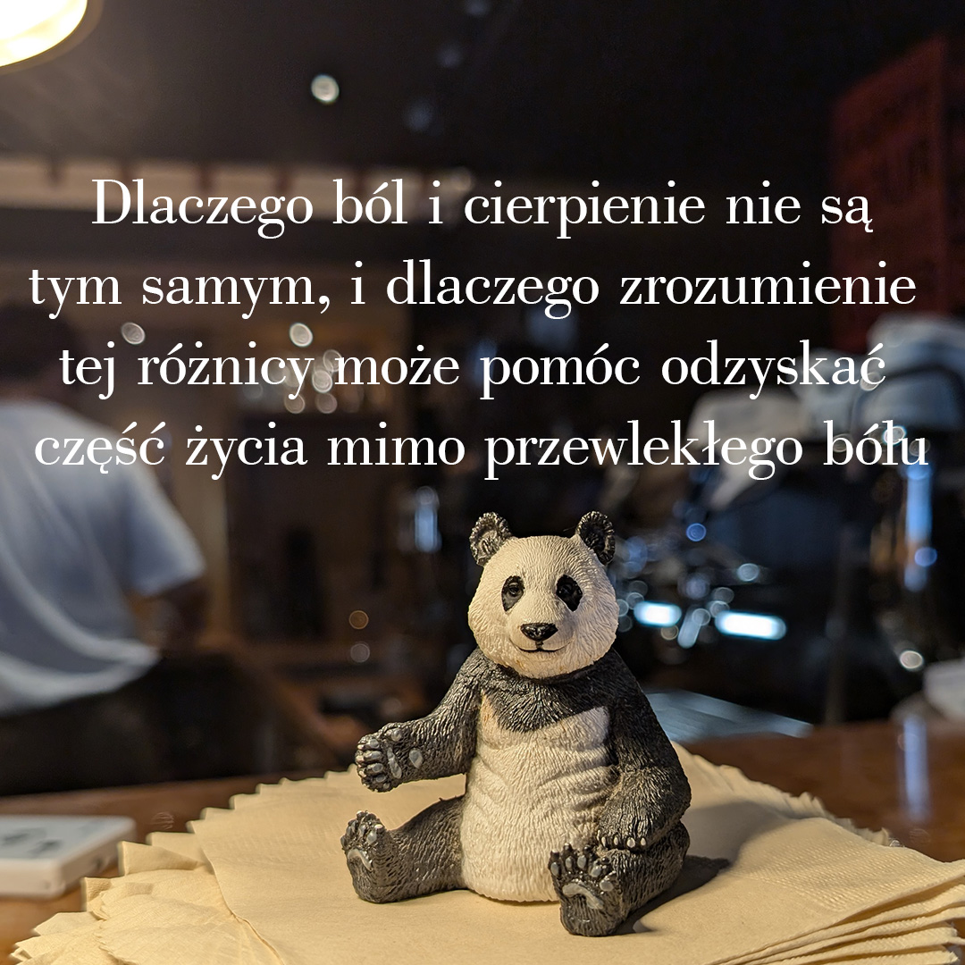 Dlaczego ból i cierpienie nie są tym samym
